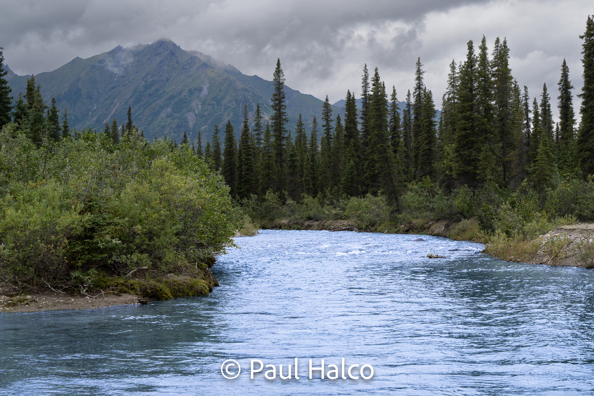 Paul Halco - Gates of the Arctic NP-21